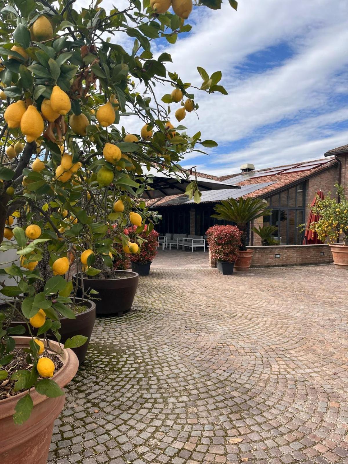 Agriturismo La Sapienza Monestirolo Exterior foto